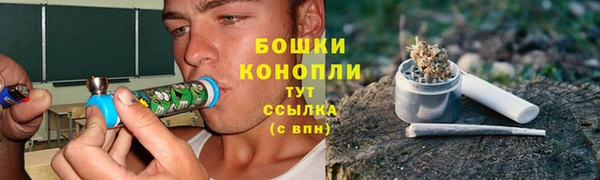 ПСИЛОЦИБИНОВЫЕ ГРИБЫ Алексеевка