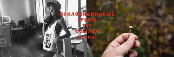 стафф Абдулино