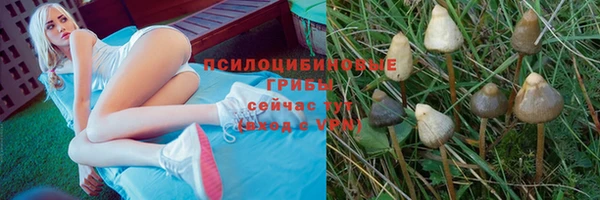 скорость Абинск