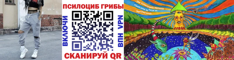 omg зеркало  где купить наркоту  Сарапул  Псилоцибиновые грибы мицелий 